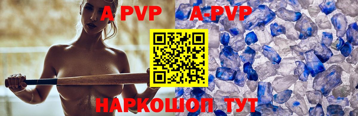 Alfa_PVP СК Буйнакск