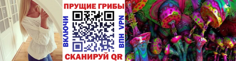 сколько стоит  Буйнакск  дарк нет какой сайт  Псилоцибиновые грибы прущие грибы 