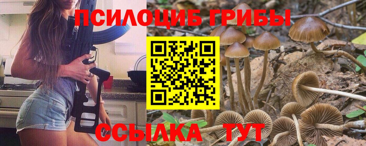 хочу   Галлюциногенные грибы ЛСД  Вход с VPN  Буйнакск 